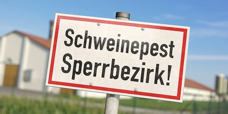 Schild: Schweinepest Sperrbezirk - © stock.adobe.com | bluedesign Schild: Schweinepest Sperrbezirk
