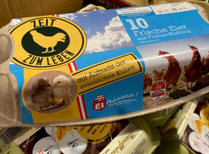 Eierverpackung