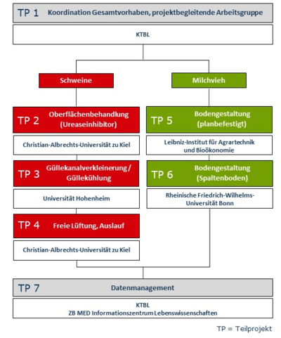 Ablaufschema des Projekts