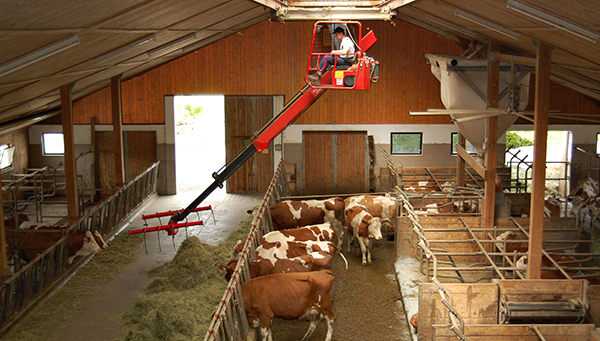 Stallinnenraum - Futtertisch mit Heuverteilung Stallinnenraum - Futtertisch mit Heuverteilung